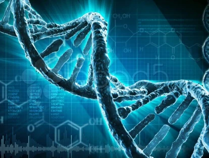 Oncotype DX: plano de saúde deve pagar exame? Entenda!