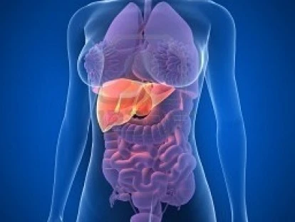 Radioembolização hepática 