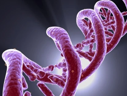 Mammaprint - Plano de saúde é condenado a custear exame