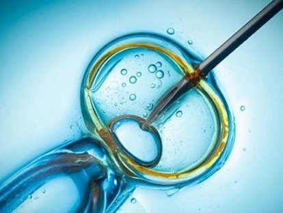 Fertilização In Vitro e Pesa