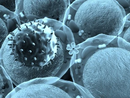 Plano de saúde deve fornecer Ibrutinibe? Entenda!