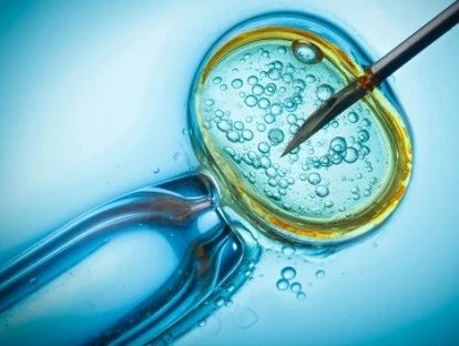 Plano de saúde é obrigado a custear fertilização in vitro