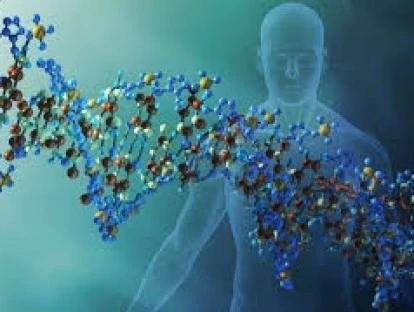 Plano de saúde é condenado a custear exames genéticos