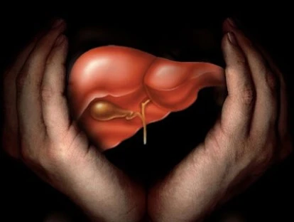 Cirurgia de transplante de fígado