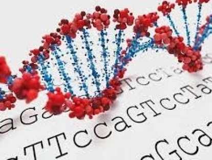 Plano de saúde deve reembolsar valor do exame Oncotype DX