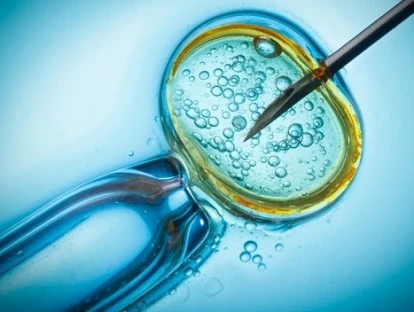Fertilização in vitro