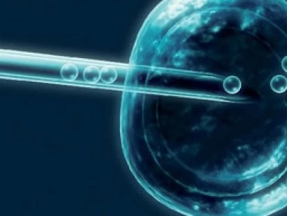 FIV por falência ovariana precoce