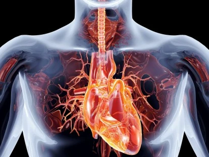  implante de válvula mitral transcateter via transapical TAVI