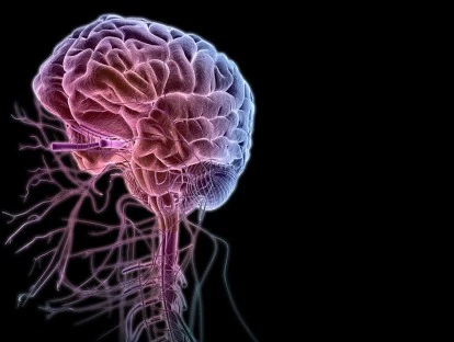 Nucleotratotomia estereotáctica do nervo trigêmeo esquerdo