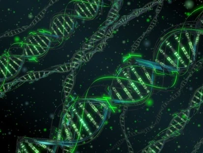 Plano de saúde deve fornecer sequenciamento de exoma 