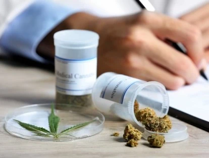 Hemp Oil - Canabidiol 