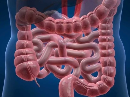  Entyvio - Vedolizumabe