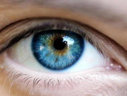 Aflibercept e Ranibizumab