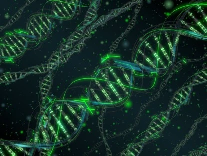 Exame genético em painel de distrofia de retina