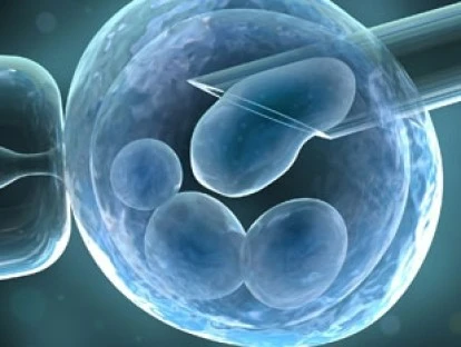 Liminar para conseguir custeio de fertilização pelo plano de saúde