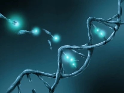 Exame de pesquisa de mutação do gene EP300