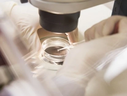Fertilização In Vitro