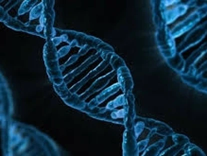 Exame Oncotype: plano de saúde deve custear? Veja!