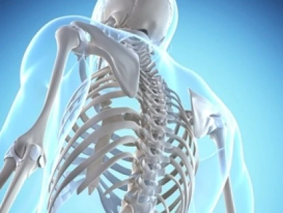 Teriparatide e Eritropoetina 