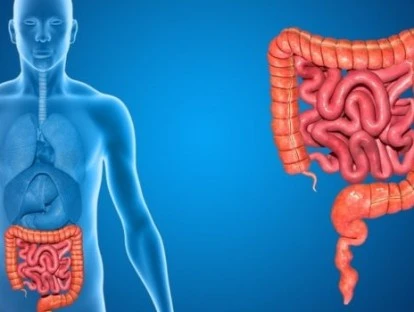 Entyvio - Vedolizumabe 