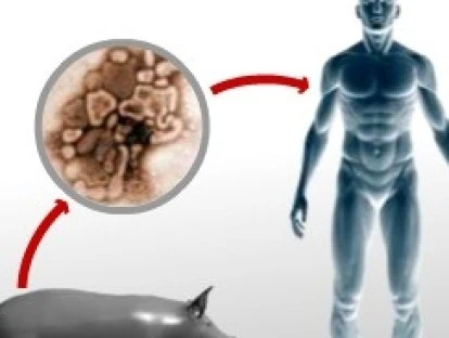 Internação por vírus influenza - gripe suína