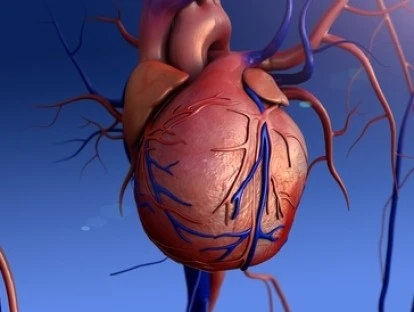 Implante percutâneo de valva aórtica (TAVI): plano de saúde deve custear tratamento