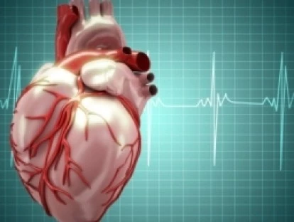 Transplante de coração