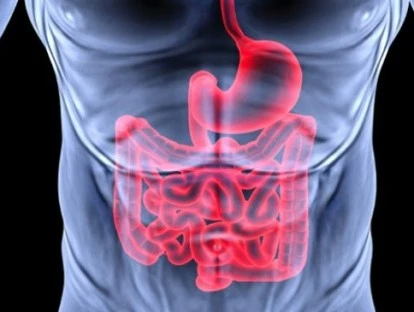 Stivarga (regorafenibe)