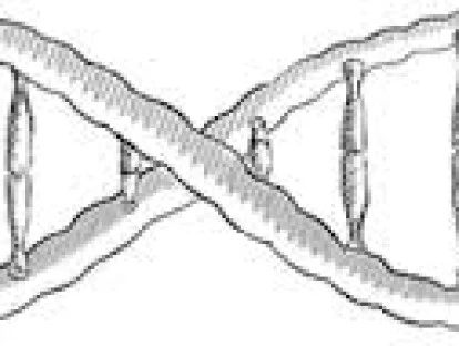 Medicamento Olaparibe (Lynparza)