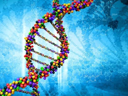 Exame genético Mammaprint deve ser custeado pelo plano de saúde