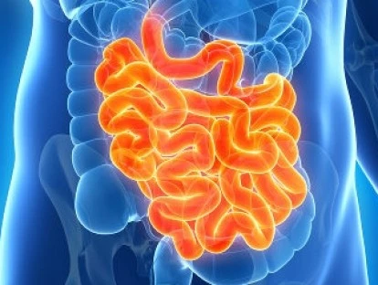 Cápsula endoscópica: planos de saúde devem custear? Entenda!