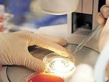 Fertilização in vitro