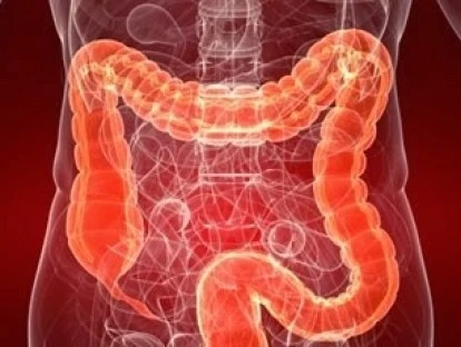 Entyvio (vedolizumabe)