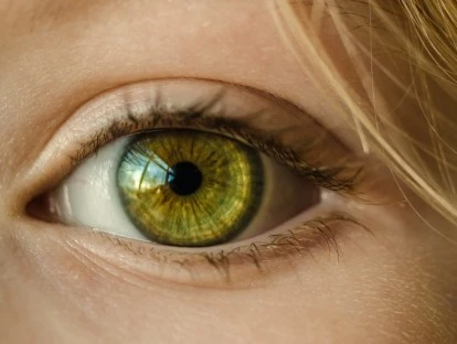 Implante de anel intraescomal e crosslinking 