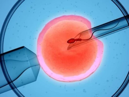 FIV para paciente com infertilidade primária