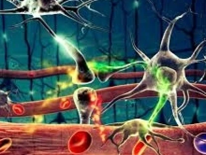 Teste Farmacogenético deve custeado pelo plano de saúde