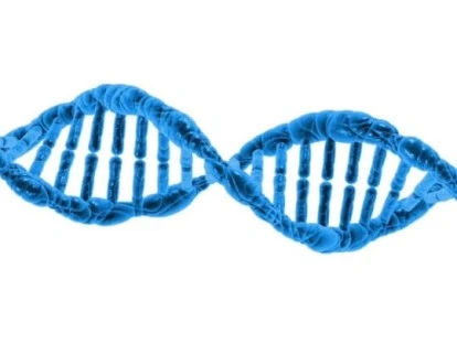 Exame de mutação no gene da Alfa-L Iduronidose