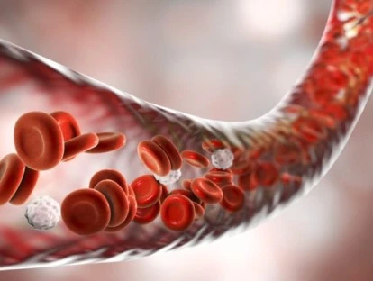Oxigenação extracorpórea por membrana pelo plano de saúde