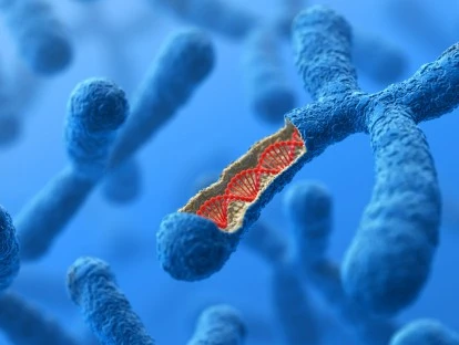 Exame de sequenciamento genético do Exoma