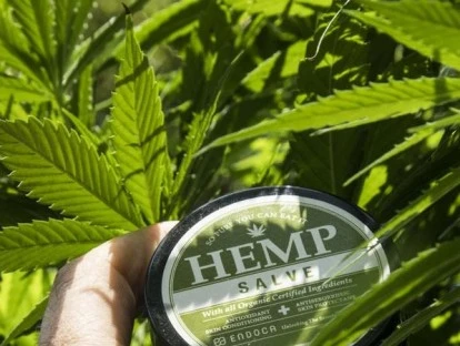 Canabidiol pelo plano de saúde: saiba como conseguir 