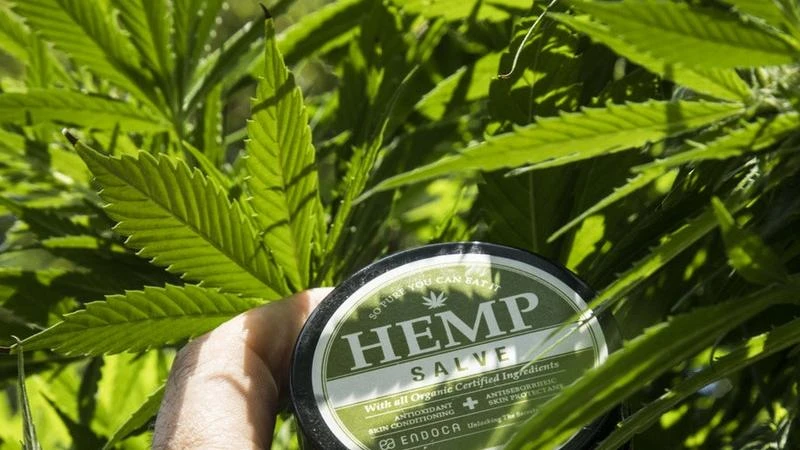 Canabidiol pelo plano de saúde: quando a cobertura pode ser exigida judicialmente