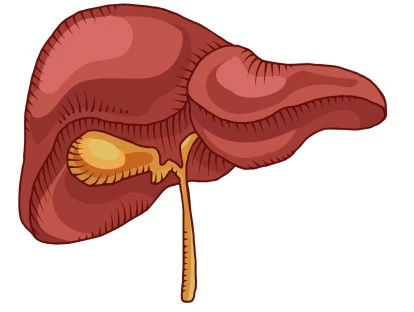 Cobertura da radioembolização hepática pelo plano de saúde é obrigatória
