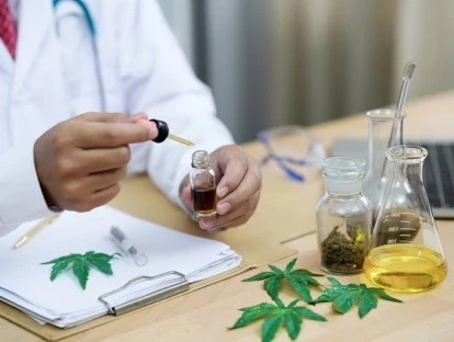 Saiba como conseguir Canabidiol pelo SUS ou pelo plano de saúde