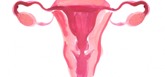 Niraparibe (Zejula) para o câncer de ovário: plano de saúde é obrigado a fornecer