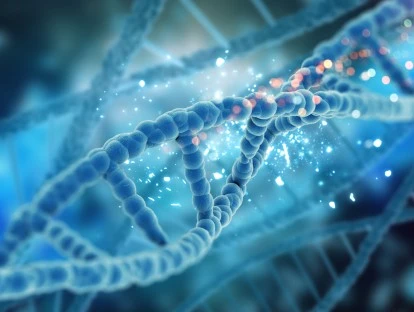 Justiça confirma que plano de saúde deve custear o exame genético Foundation One