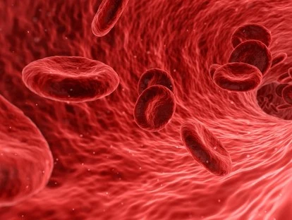 Plano de saúde deve cobrir transplante alogênico de medula óssea