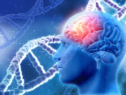 Plano de saúde é obrigado a custear o exame de PET-CT Neurológico com FDG