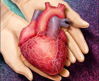 Transplante cardíaco não pode ser negado pelo plano de saúde, mesmo excluído do contrato