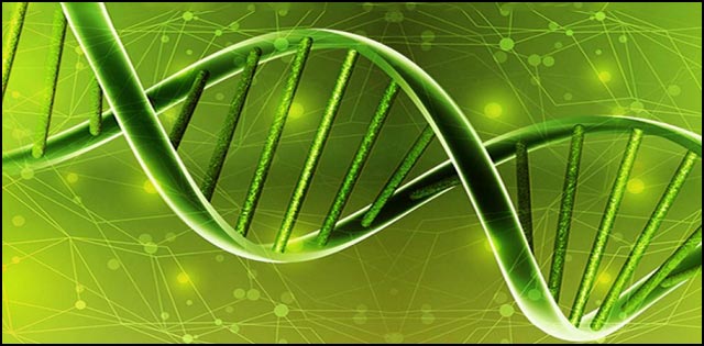 Blueprint convenio medico